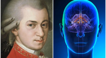 Mozart Effect: How Does Mozart’s Music Affect the Brain?