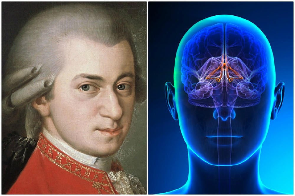 mozart's music brain mozart effect