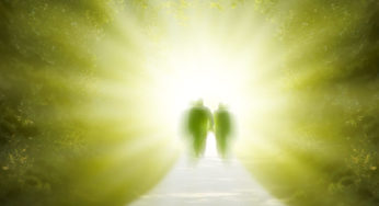 What Happens After Death, According to Near-Death Experience Research?