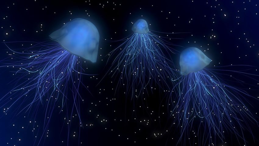 jellyfish aliens