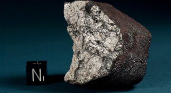 No, the Chelyabinsk Meteorite Didn’t Bring Extraterrestrial Life to Earth