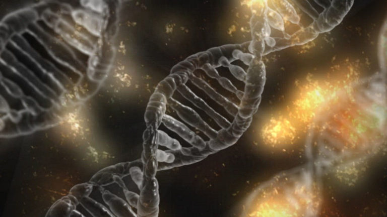 Read more about the article 4 Everyday Things That Can Change Your DNA