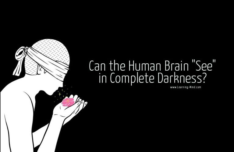 Read more about the article Can the Human Brain “See” in Complete Darkness?