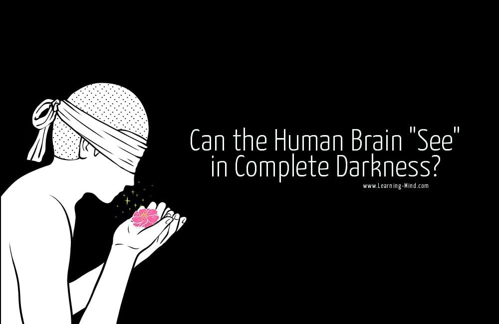 human brain complete darkness