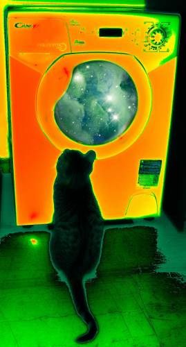 cat psychedelic vision