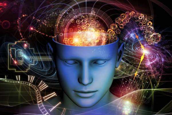 Read more about the article Neuroscience Reveals the Secrets to Unlocking Your Brain’s Potential