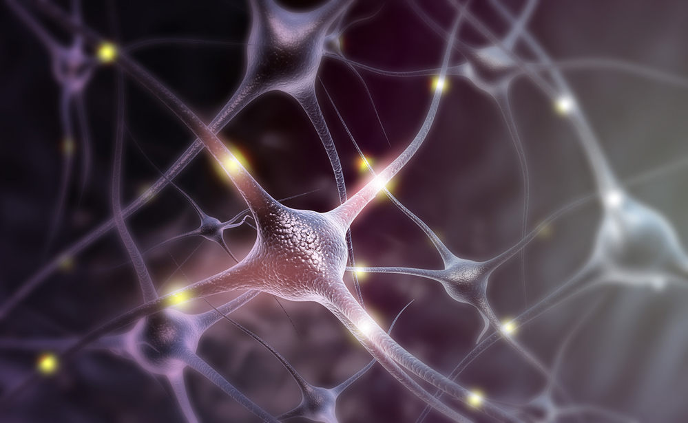 how to become more intelligent neurons