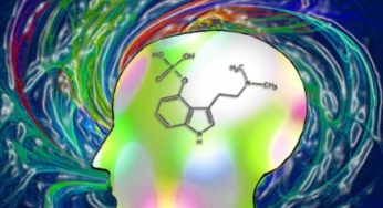 Expansion of Consciousness-Psilocybin’s Gateway to the Mind & Well-being