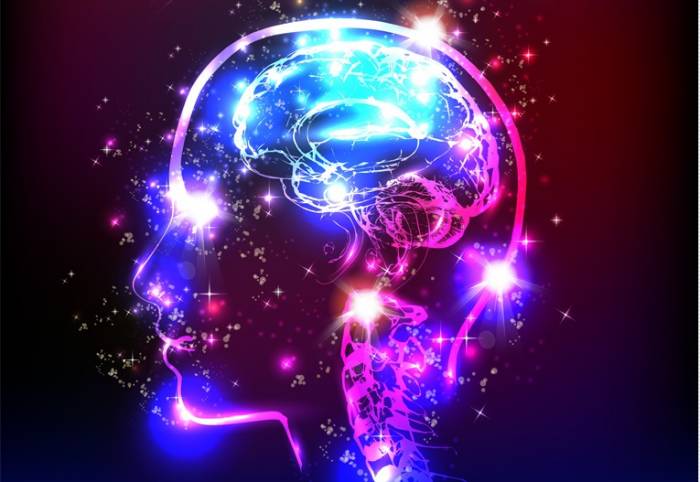 Read more about the article New Study Reveals What Happens in the Brain on Psychedelics