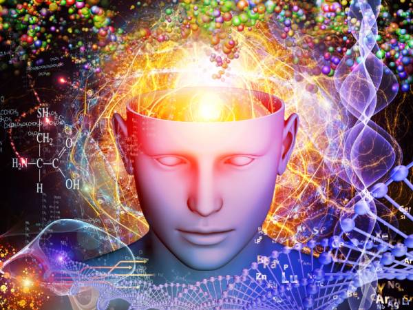 Read more about the article Pineal Gland: Is It the Point of Connection Between the Body and the Soul?