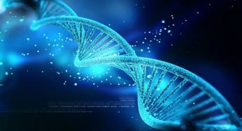 The Recombinant DNA Controversy: Where Will Genetic Engineering Lead Us?