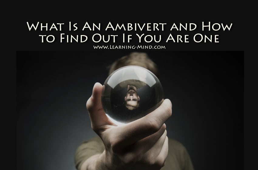 What Is an Ambivert and How to Find Out If You Are One - Learning Mind What Is an Ambivert and How to Find Out If You Are One - Learning Mind