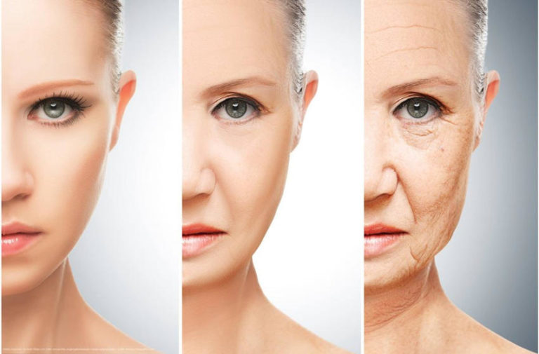 Read more about the article ‘Elixir of Youth’ Found? New Experimental Drug Reverses Aging