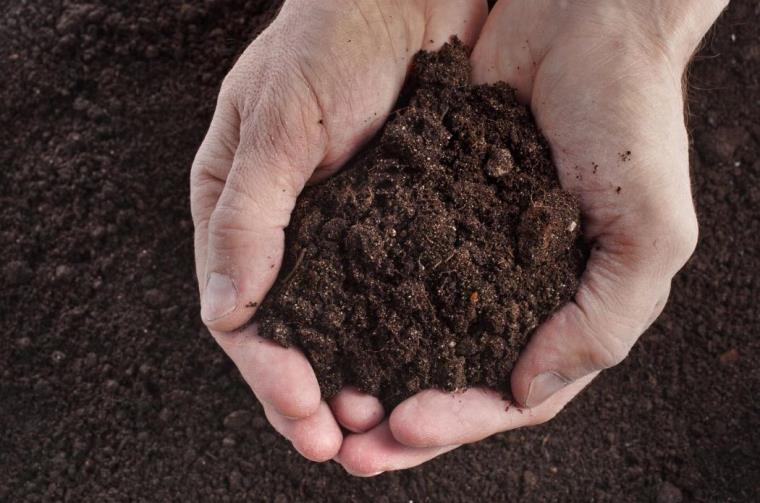 Read more about the article New Super Antibiotic Found in Dirt Can Kill Drug-Resistant Bacteria