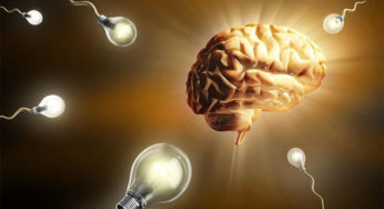 5 Cognitive Enhancement Myths Debunked