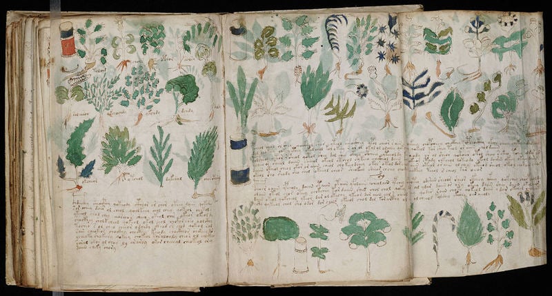 Voynich Manuscript