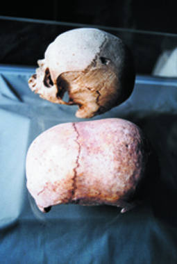 hypogeum elongated skulls
