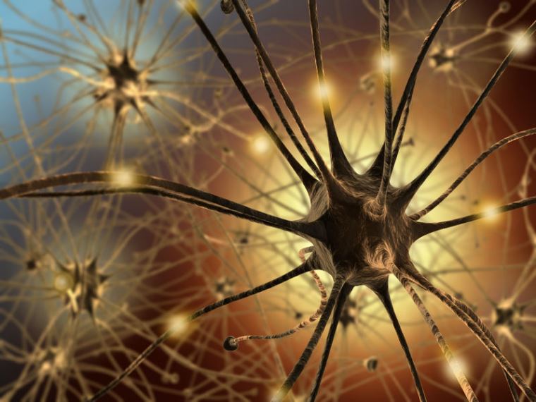 Neurons Constantly Rewrite their DNA
