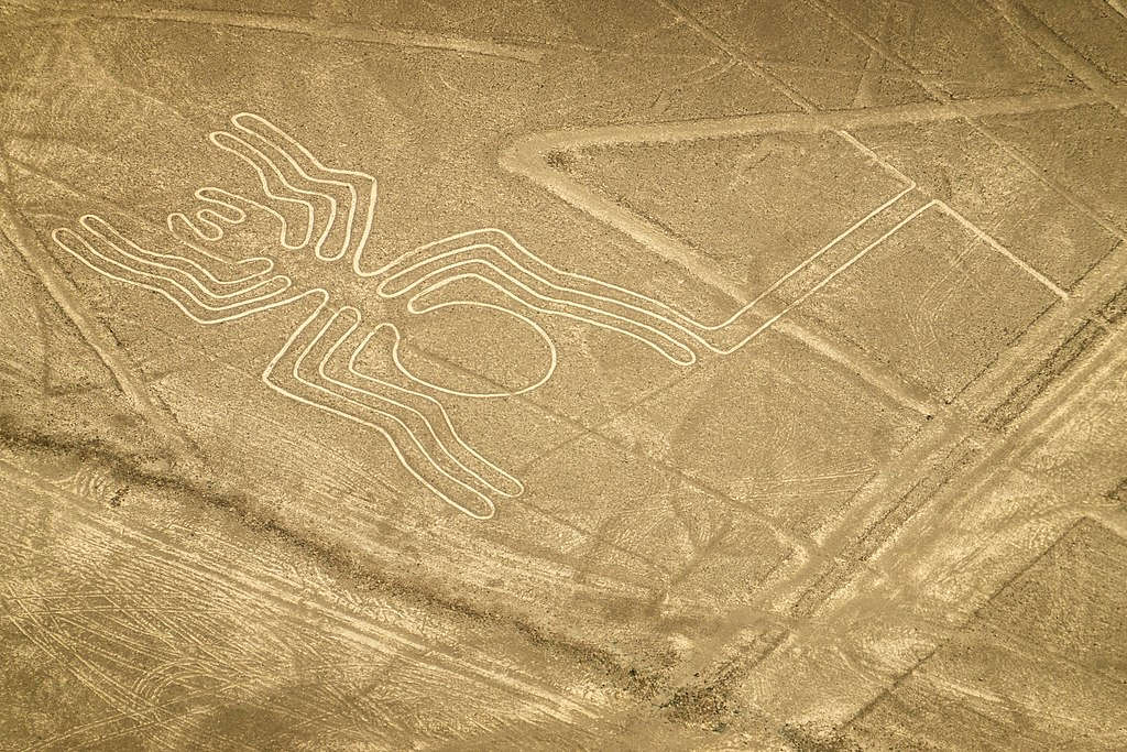 nazca lines spider