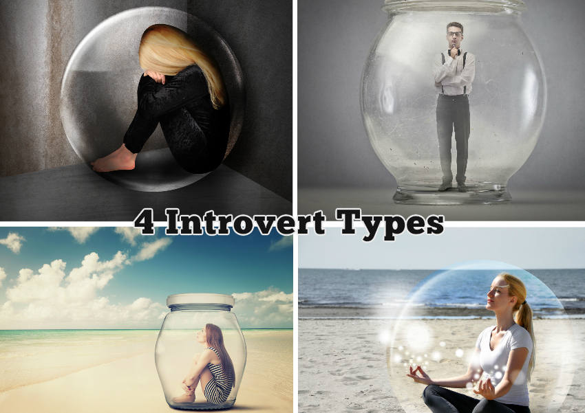 4 introvert types