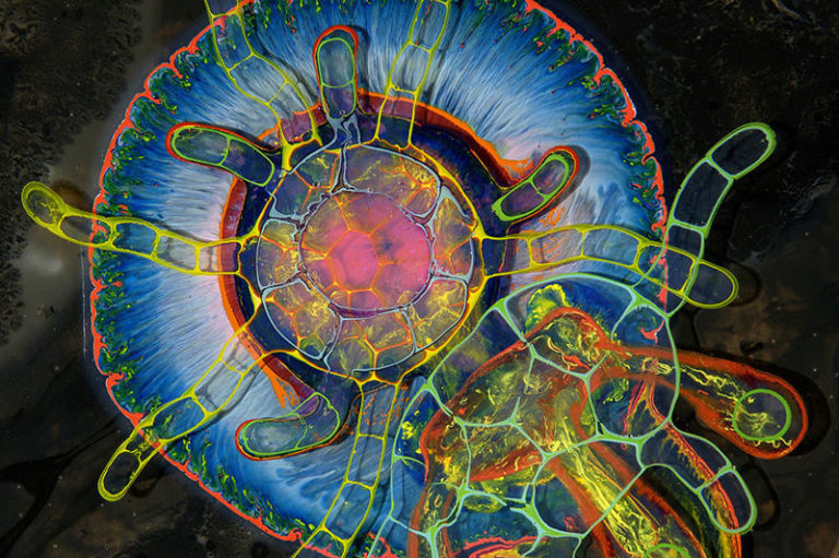 Read more about the article These Incredible Psychedelic Artworks Are Created by Pouring Paint and Resin onto a Canvas