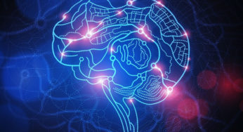 Study Sheds New Light on the Nature of Conscious Perception