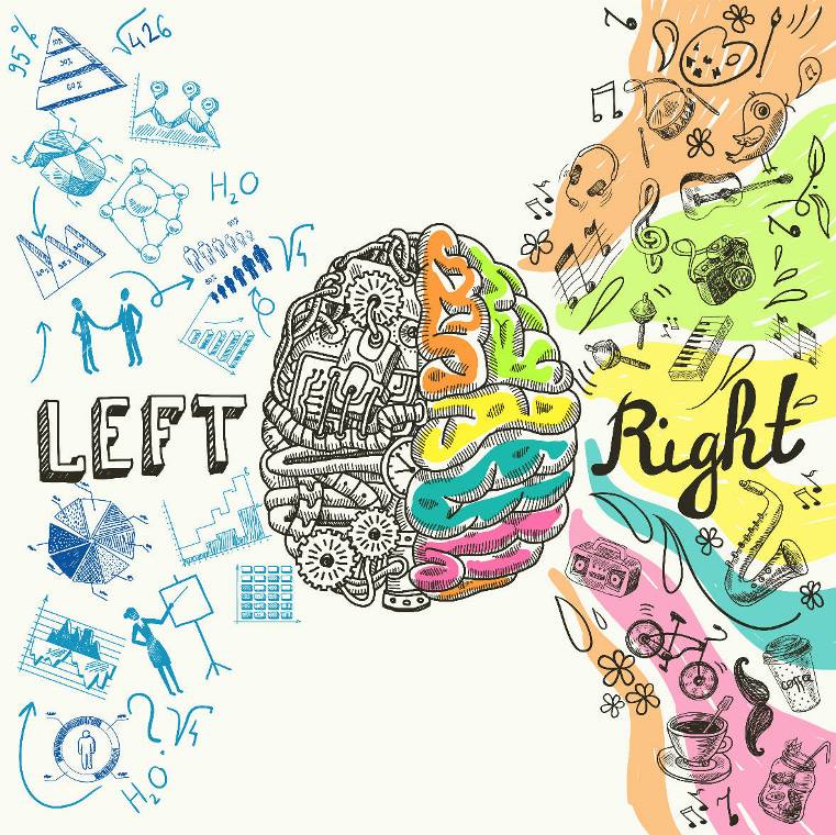 Read more about the article How the Two Brain Hemispheres Determine Who You Are