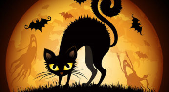 Do Superstitions Have Any Actual Scientific Basis Behind Them?