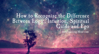 That Little Voice in Your Head: The Difference Between Logic, Intuition, Spiritual Guide and Ego
