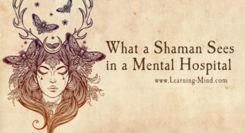 A Different View of Mental Illness or What a Shaman Sees in a Mental Hospital