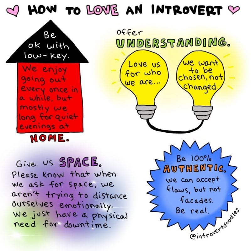 what is introversion