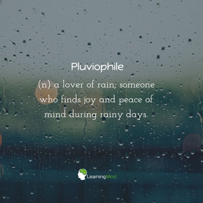 Pluviophile word of the day