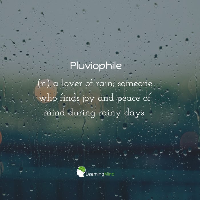 Pluviophile