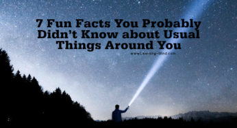 7 Fun Facts You Probably Didn’t Know about Usual Things Around You