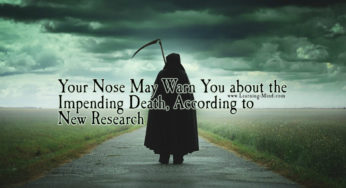 Your Nose May Warn You about the Impending Death, According to New Research