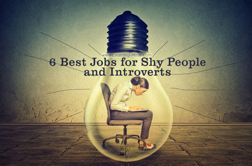 jobs for shy people introverts