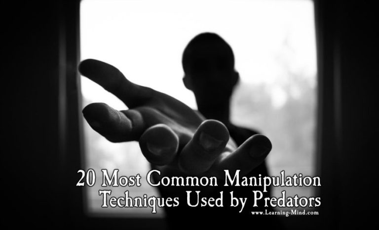 Read more about the article 20 Most Common Manipulation Techniques Used by Predators