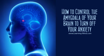 How to Control the Amygdala of Your Brain to Turn off Your Anxiety