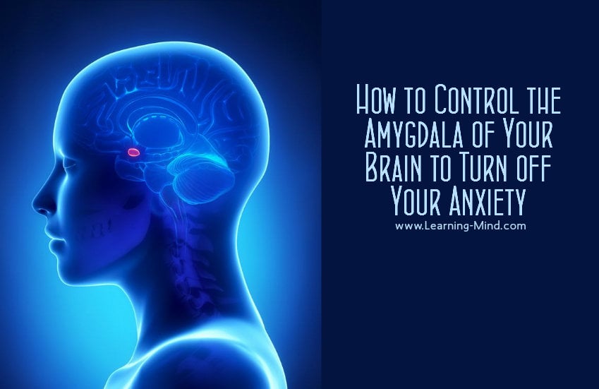 the amygdala anxiety
