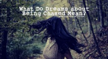 What Do Dreams about Being Chased Mean and Reveal about You?
