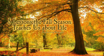 5 Lessons the Fall Season Teaches Us about Life