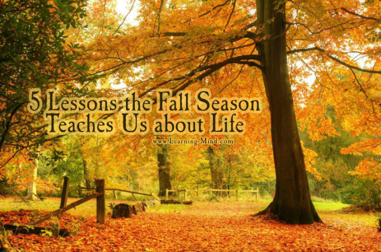 Read more about the article 5 Lessons the Fall Season Teaches Us about Life