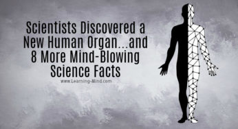 9 Amazing Science Facts from Recent Studies That Will Blow Your Mind