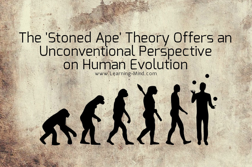 stoned ape theory