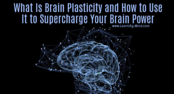 What Is Brain Plasticity and How to Use It to Supercharge Your Brain Power