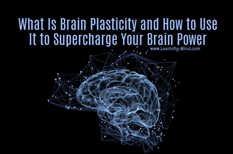 Read more about the article What Is Brain Plasticity and How to Use It to Supercharge Your Brain Power