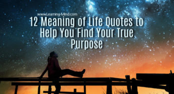 12 Meaning of Life Quotes to Help You Find Your True Purpose