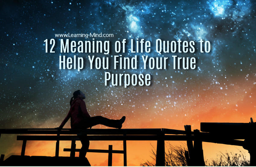 meaning of life quotes
