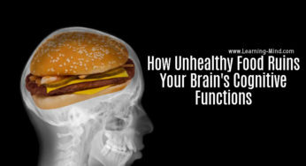 How Unhealthy Food Ruins Your Brain’s Cognitive Functions, Backed by Science