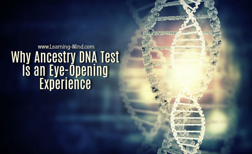ancestry dna test